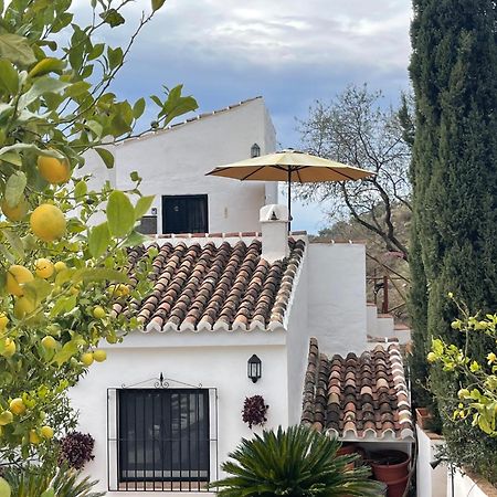 Apartmán Casa Del Limon Canillas de Aceituno Exteriér fotografie