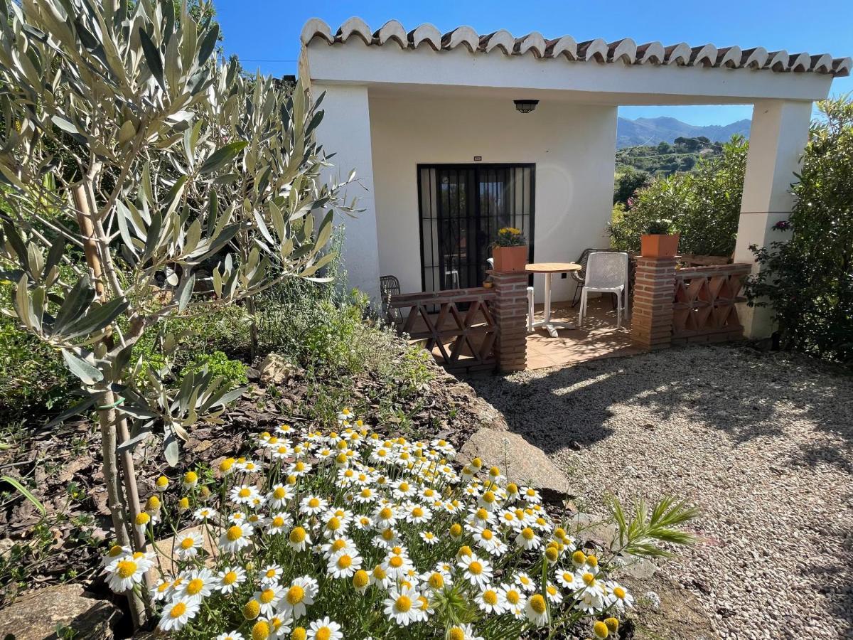 Apartmán Casa Del Limon Canillas de Aceituno Exteriér fotografie